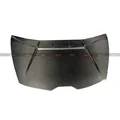 Carbon fiber