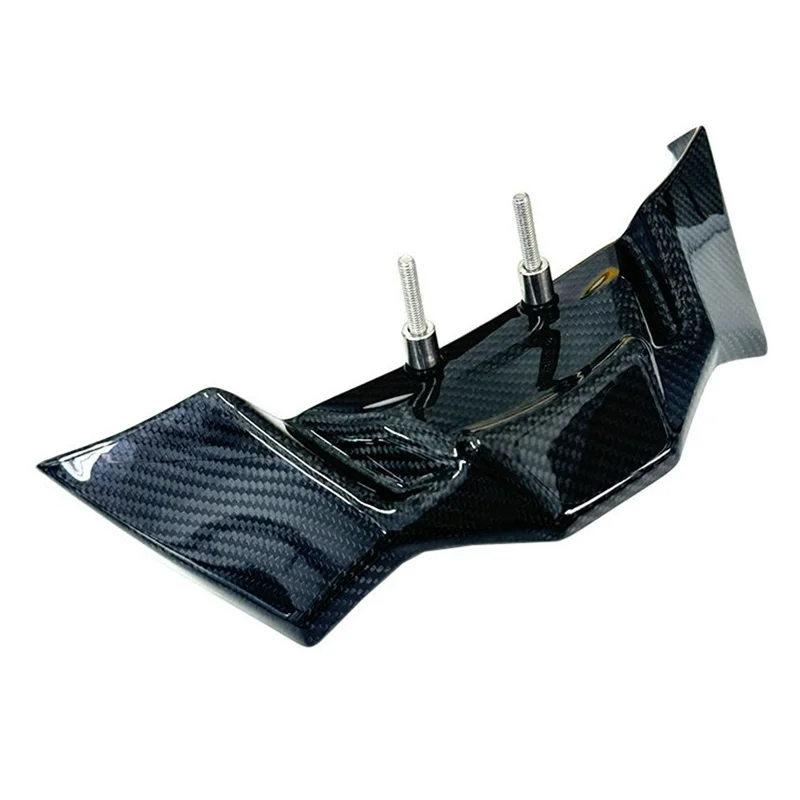 Alerón delantero de carbono BMW S1000R/M1000R 2021-2024