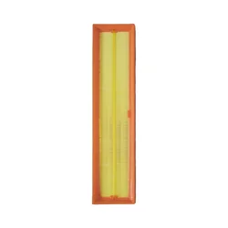 Filtro de aire BioFlex para Peugeot 206, 206 CC, 307 y 308 1.6
