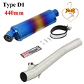 Type D1