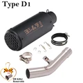 Type D1