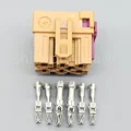 1set female