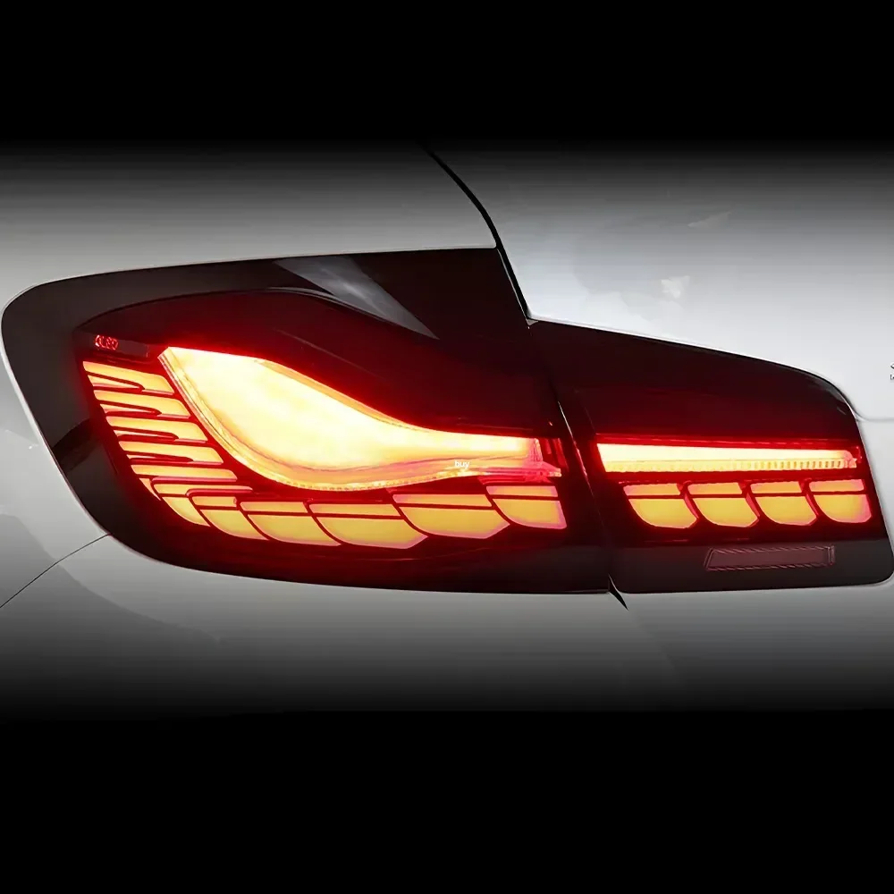 Pilotos traseros LED Dragon Scale para BMW Serie 5 F10/F18 - imagen 4