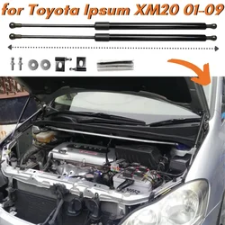 Puntales de capó de fibra de carbono para Toyota Ipsum XM20 2001-2009