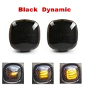 Black  Dynamic