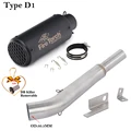 Type D1
