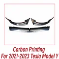Y Carbon Printing