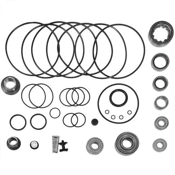 Kit reparación bomba vacío Alcatel Adixen ADP122P - imagen 3