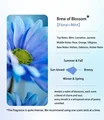 Brew of Blossom