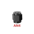 AN4