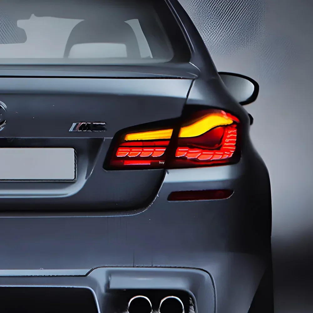 Pilotos traseros LED Plug & Play para BMW Serie 5 F10/F18 - imagen 4
