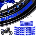 Inner Decal B