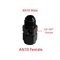 AN10