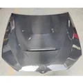 Carbon Fiber