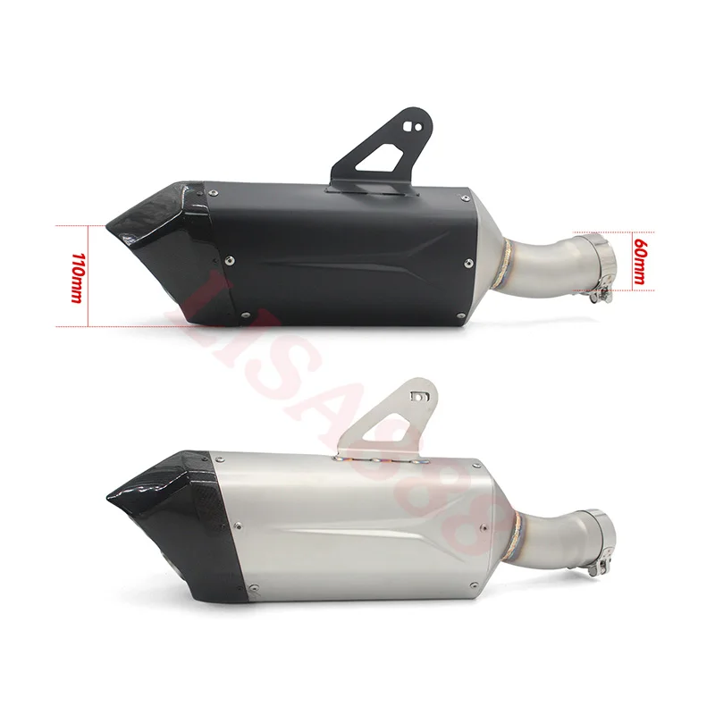 Escape fibra de carbono doble salida BMW R 1300 GS 2024-2025 - imagen 2