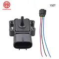 Sensor and Plug