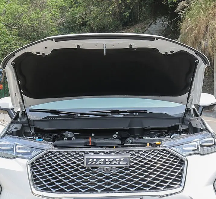 Puntales de gas para capó Haval H6 MK3