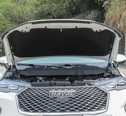 Puntales de gas para capó Haval H6 MK3