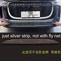 sliver strip 1