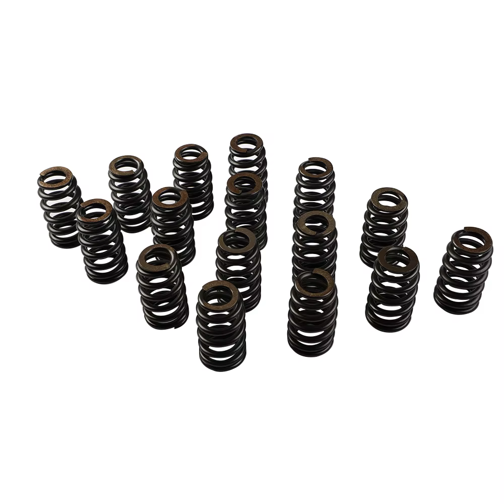 Kit de resortes de válvula PAC1218 para motores GM LS
