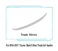Trunk Silvery