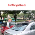 Roof bright black
