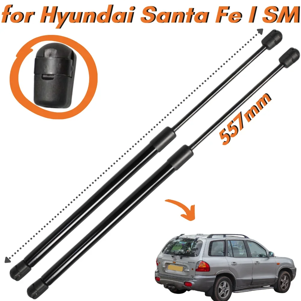 Puntales de maletero para Hyundai Santa Fe I (SM) 2000-2006