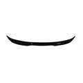 Trunk Glossy black