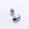 Chrome x 1Piece