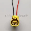 1set female