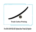 Trunk Carbon Look
