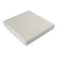 Particulate Filter
