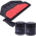 Air Filter oil Filte