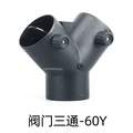 60Y
