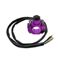 Morado