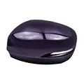 1PC Purple L