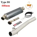 Type B1