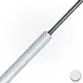 Silver Cabron Fiber