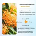 Osmanthus Pear Woods