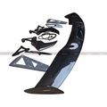 Dry carbon fiber