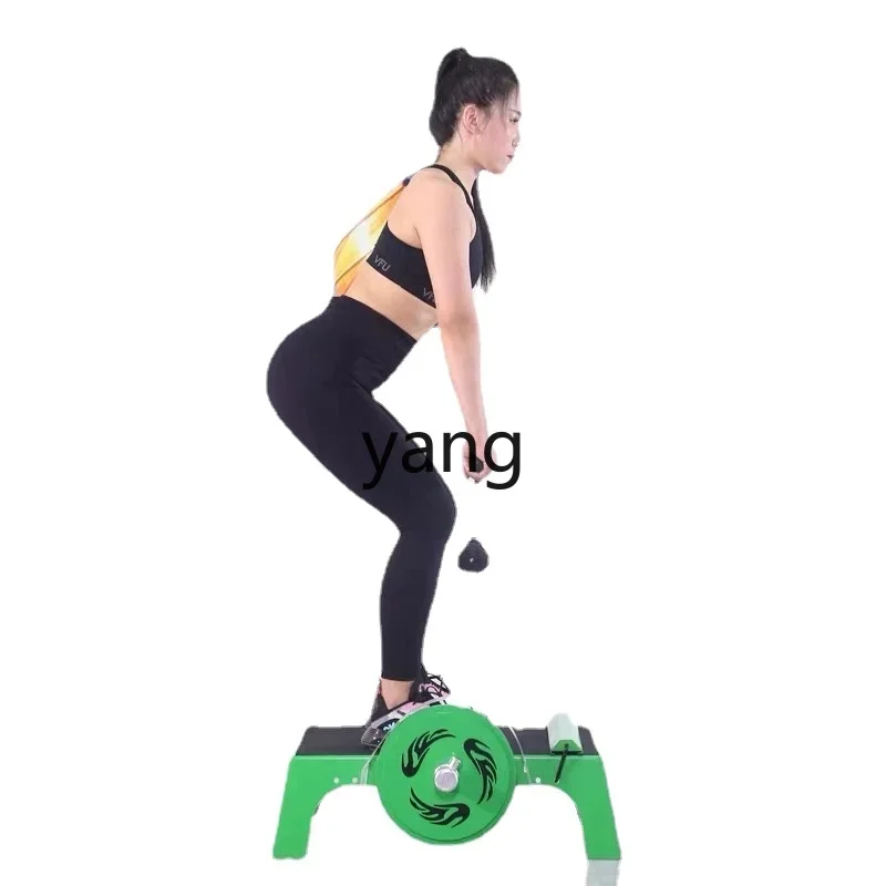 Entrenador de ciclismo indoor Resistance Pro con volante y sentadilla - imagen 2