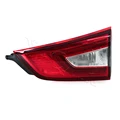 16-18 Right Trunk
