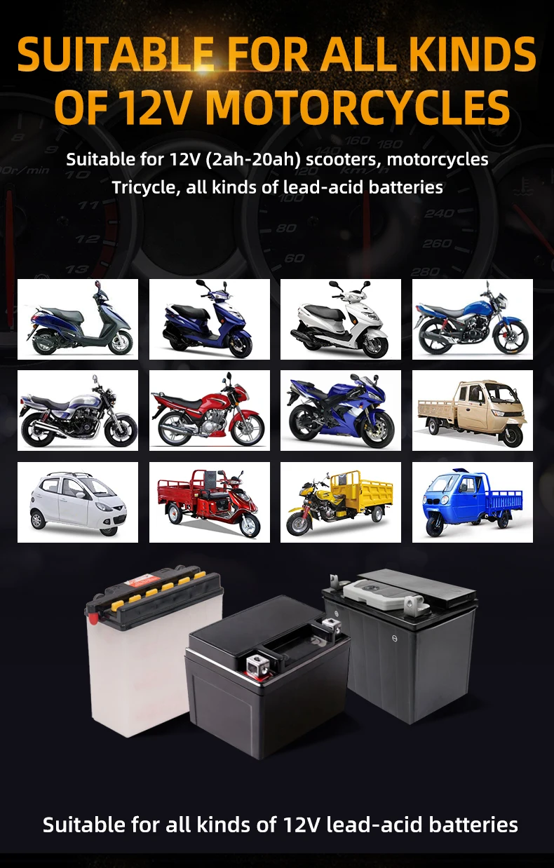 Cargador de batería para motocicleta y coche de juguete