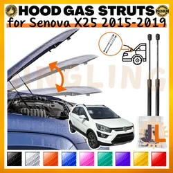Puntales de capó a gas BAIC Senova X25 2015-2019