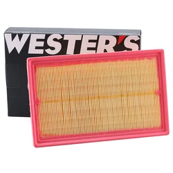 Filtro de aire para Chery Tiggo 3x Plus y Tiggo 2 Pro 1.5