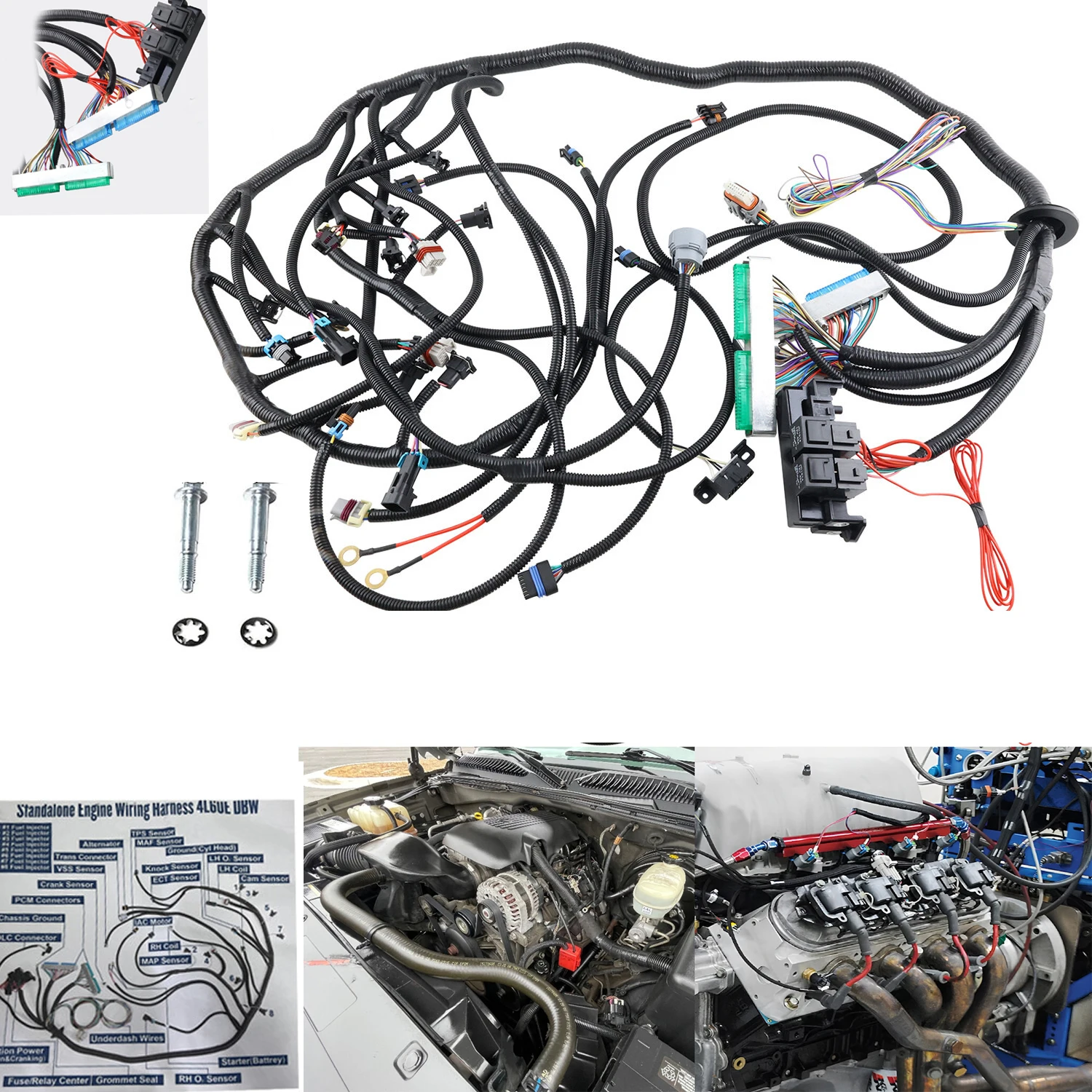 Arnés de cableado independiente LS Swap DBW para LS1 y 4L60E 97-04