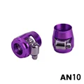 AN10 purple