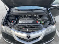 Amortiguadores capó gas Acura MDX 2007-2013