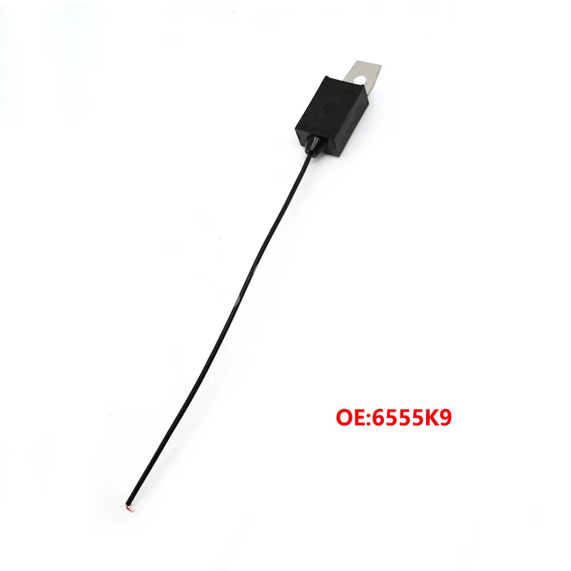 Detalle del componente eléctrico 6555K9