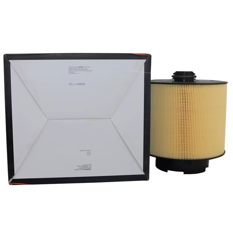 WESTGUARD MA9550 Filtro de aire para Audi A6 C6 - imagen 2